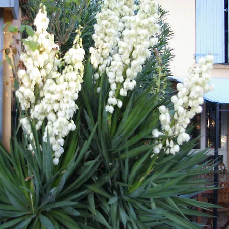 La Cognee Bed & Breakfast 3*