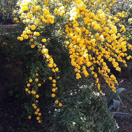 La Cognee Bed & Breakfast