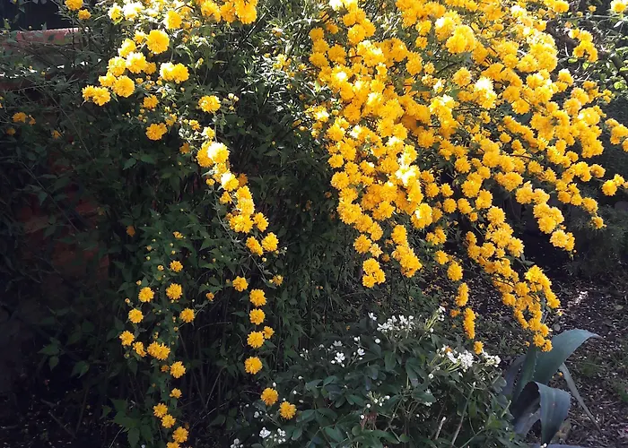 La Cognee فندق مبيت وإفطار